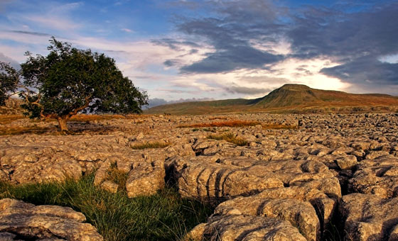 Limestone Pavement
